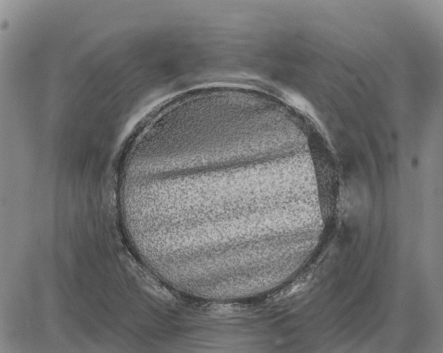 X0000080691360200612301439