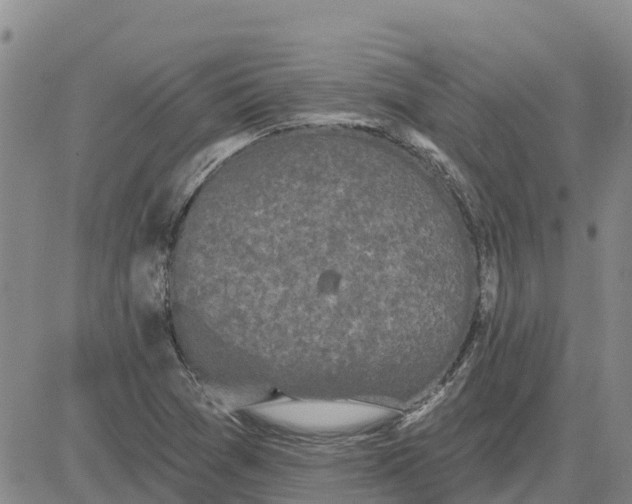 X0000080691361200612301439