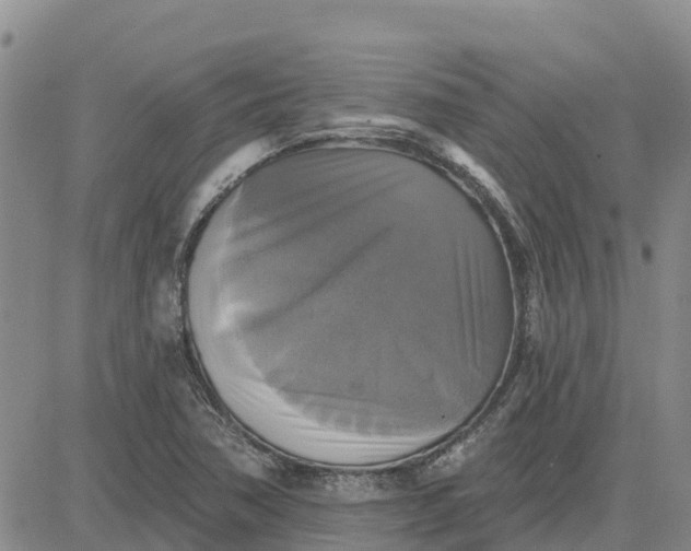 X0000080691362200612301439