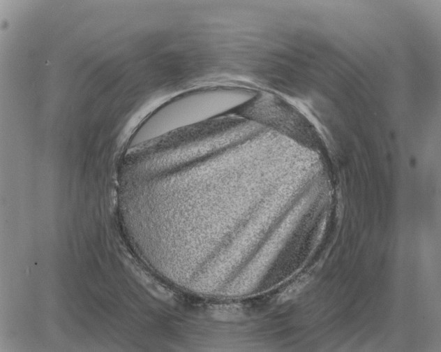 X0000080691363200612301439