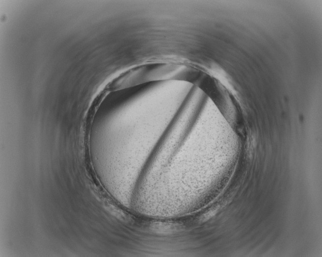 X0000080691364200612301439