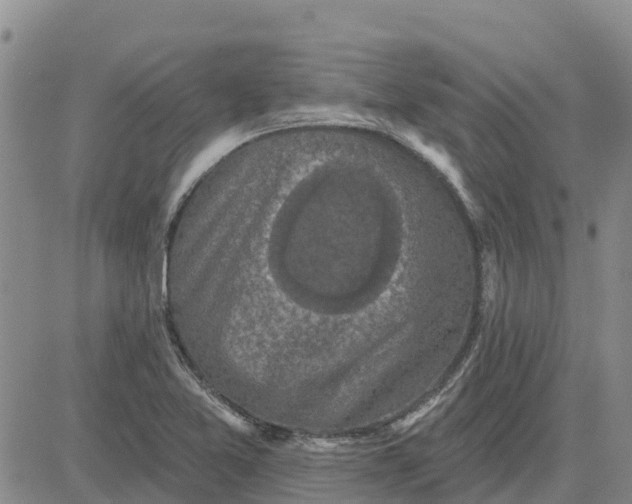 X0000080691365200612301439