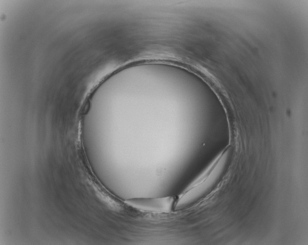 X0000080691366200612301439