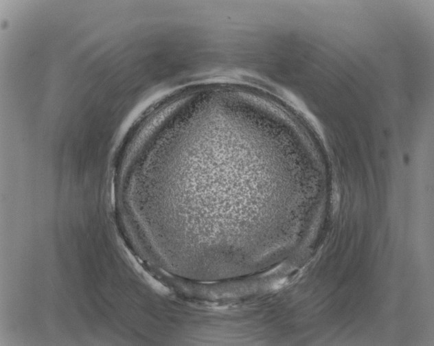 X0000080691368200612301439