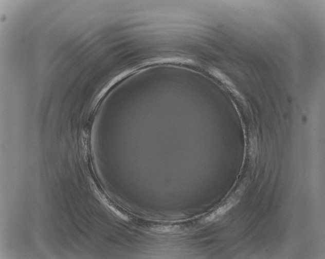 X0000080691369200612301439