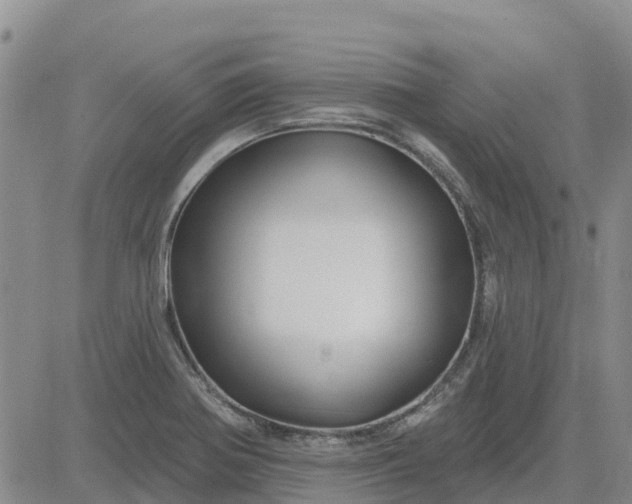 X0000080691370200612301439