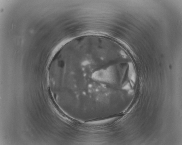 X0000080691371200612301439