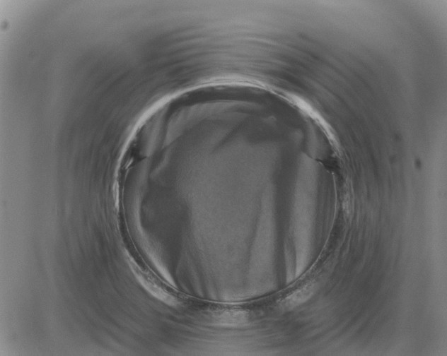 X0000080691372200612301439