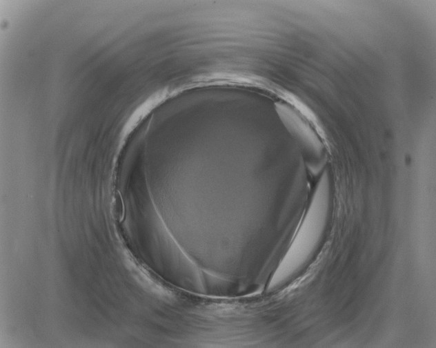 X0000080691373200612301439