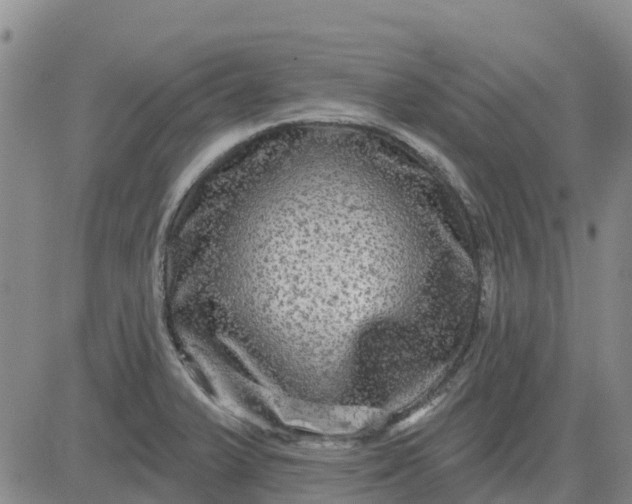 X0000080691375200612301439