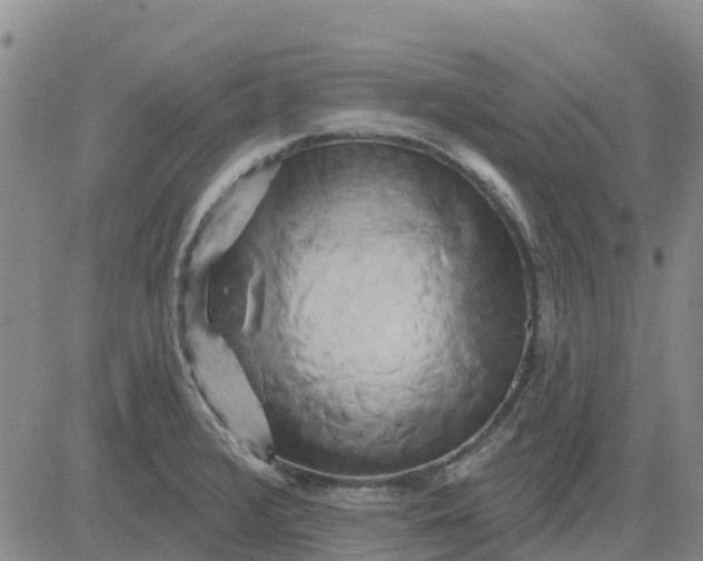 X0000080691376200612301439