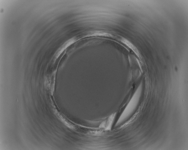 X0000080691377200612301439