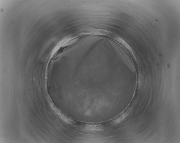 X0000080691378200612301439