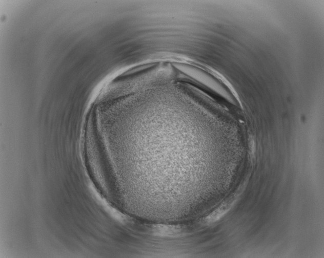 X0000080691379200612301439