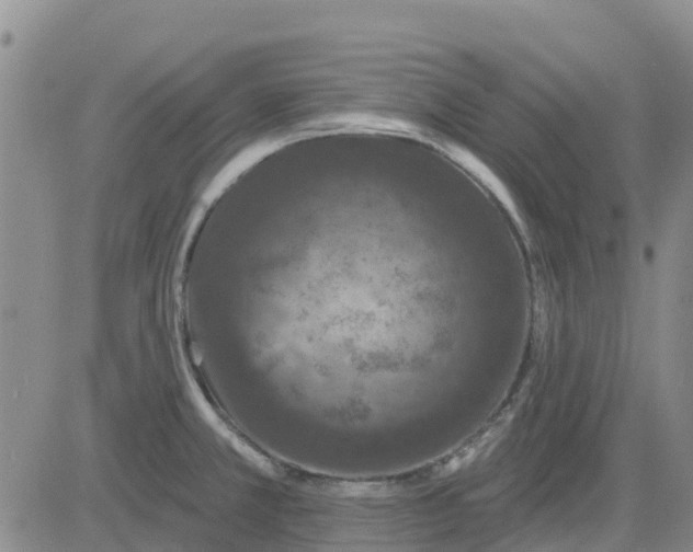 X0000080691381200612301439