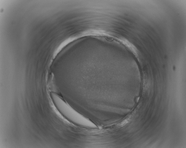 X0000080691382200612301439