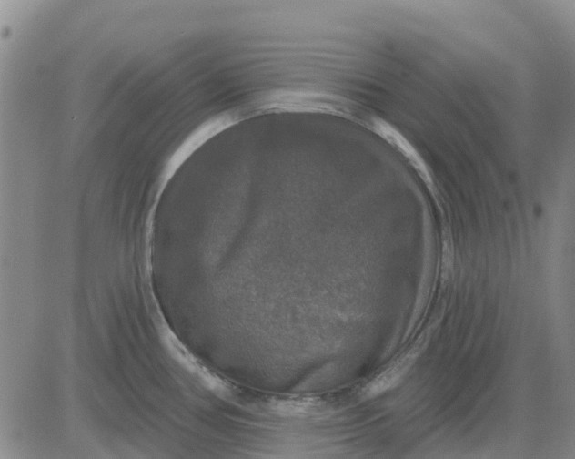 X0000080691386200612301439