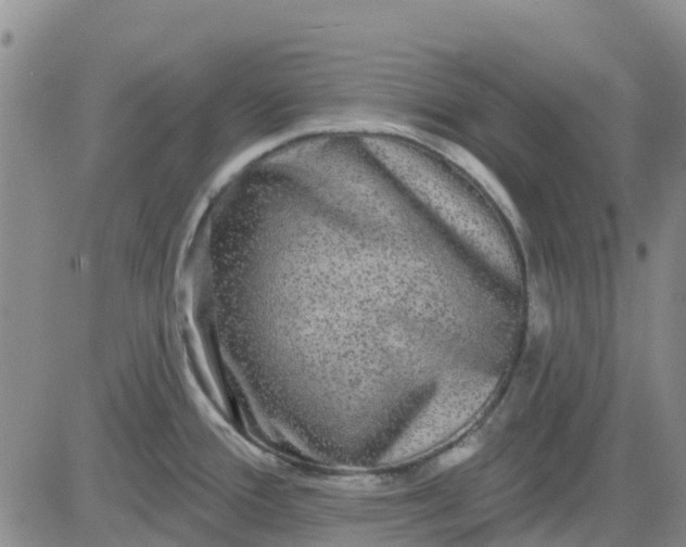 X0000080691388200612301439