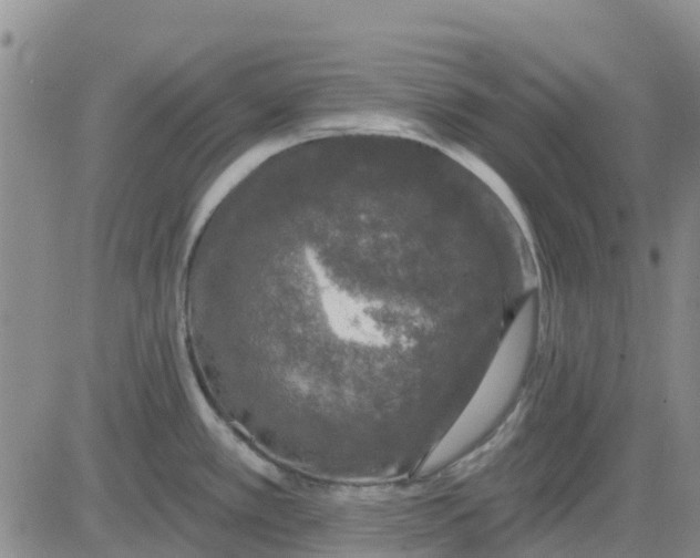 X0000080691389200612301439