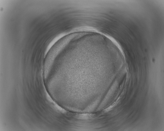 X0000080691390200612301438