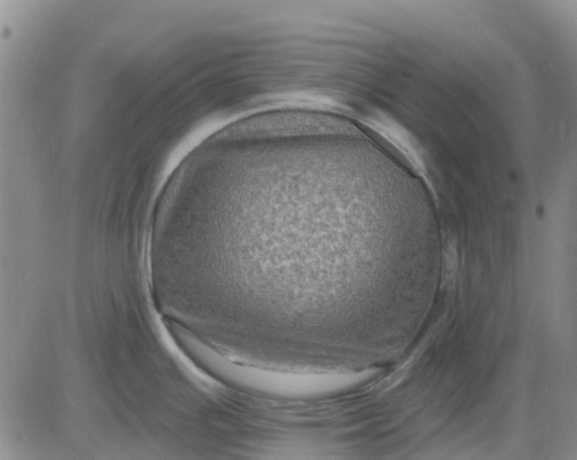 X0000080691391200612301438