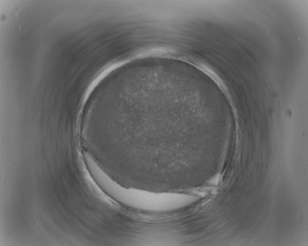 X0000080691392200612301438