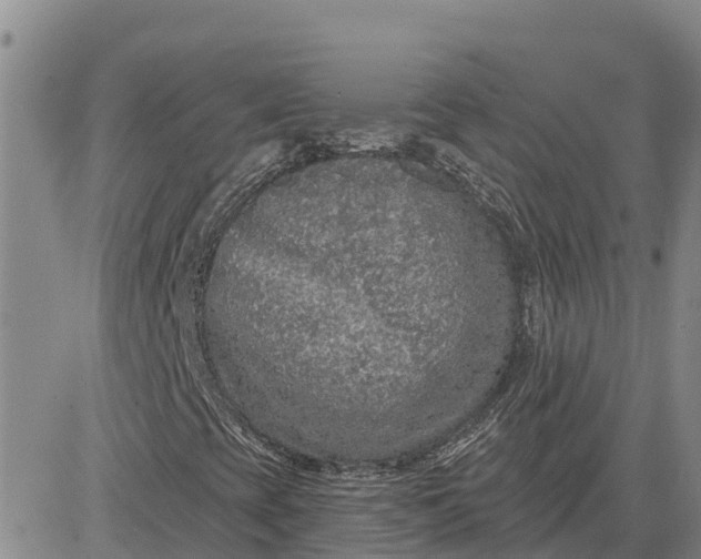 X0000080691393200612301438