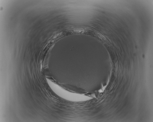 X0000080691394200612301438