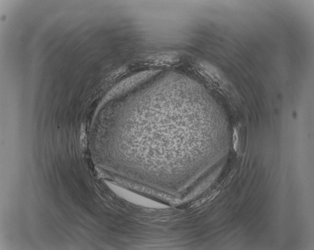 X0000080691395200612301438