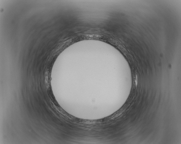 X0000080691396200612301438