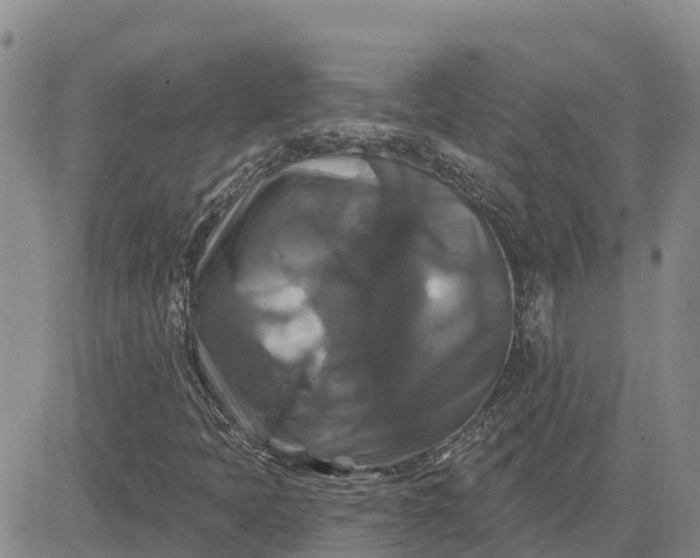 X0000080691397200612301438