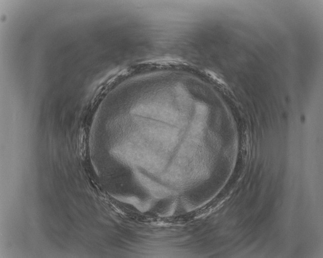 X0000080691398200612301438