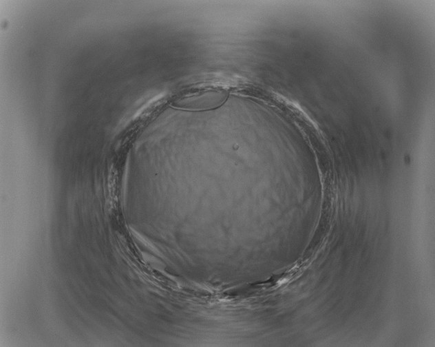 X0000080691399200612301438