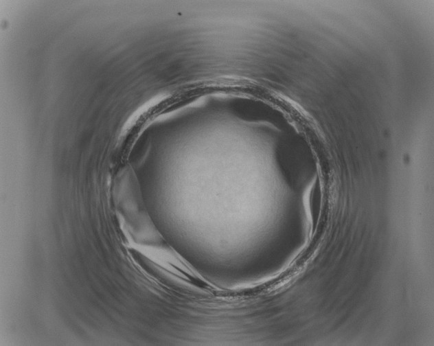 X0000080691402200612301438