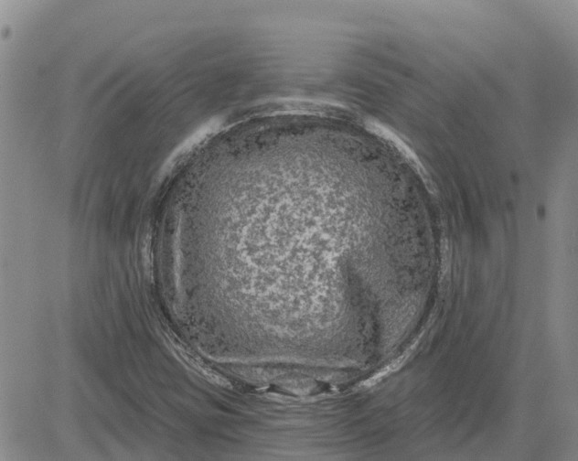 X0000080691403200612301438