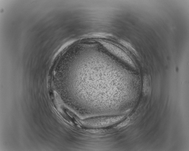 X0000080691404200612301438