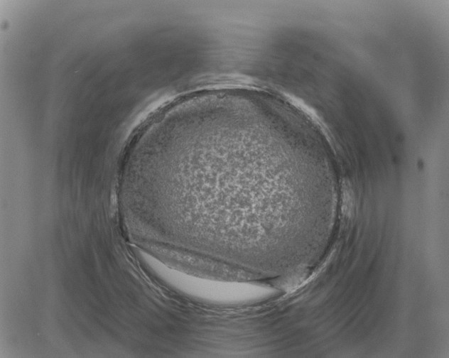 X0000080691407200612301438