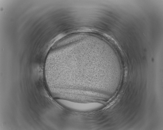 X0000080691409200612301438