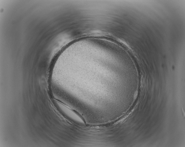 X0000080691410200612301438