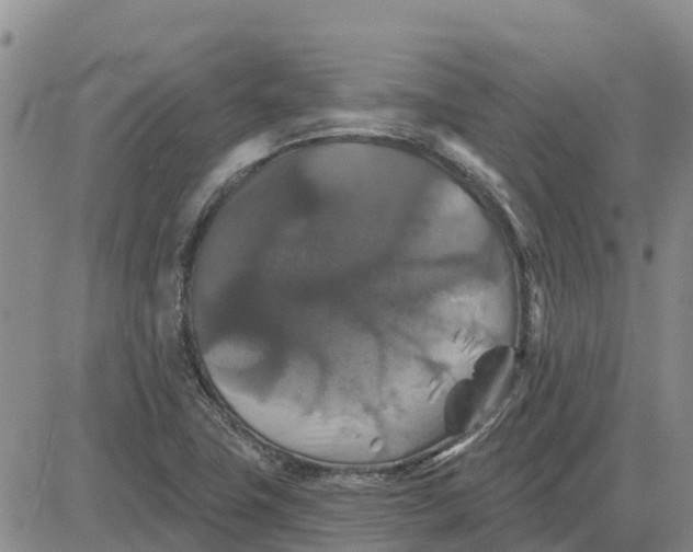 X0000080691411200612301438