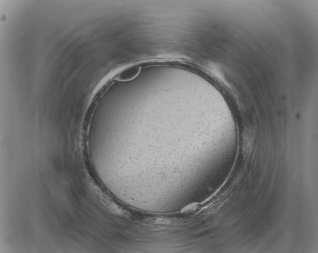 X0000080691412200612301438