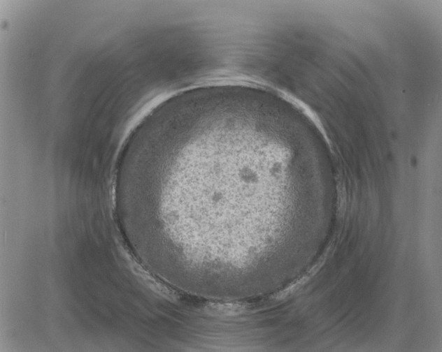 X0000080691415200612301438