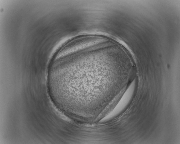 X0000080691416200612301438