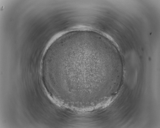 X0000080691421200612301438