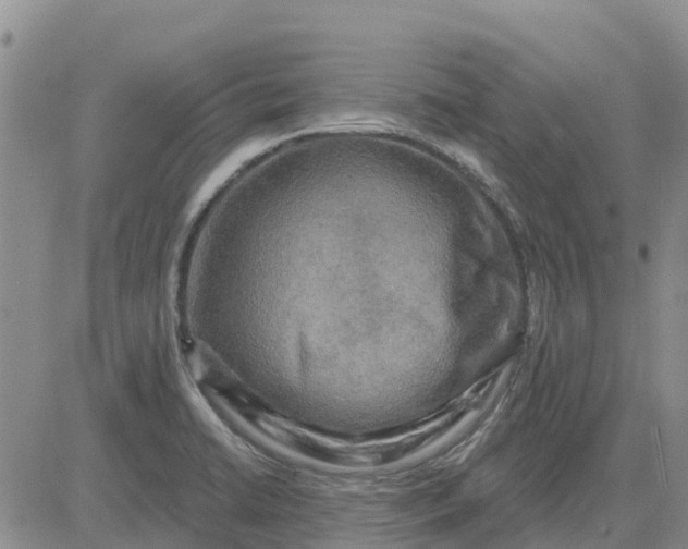 X0000080691422200612301438