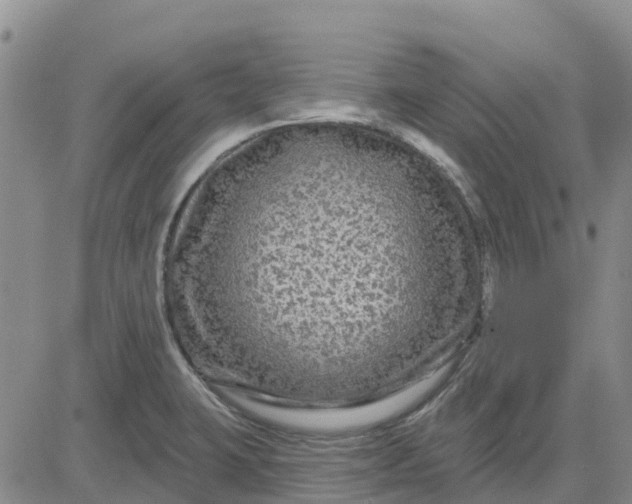 X0000080691423200612301438