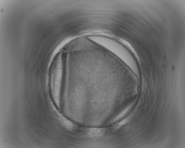 X0000080691424200612301438