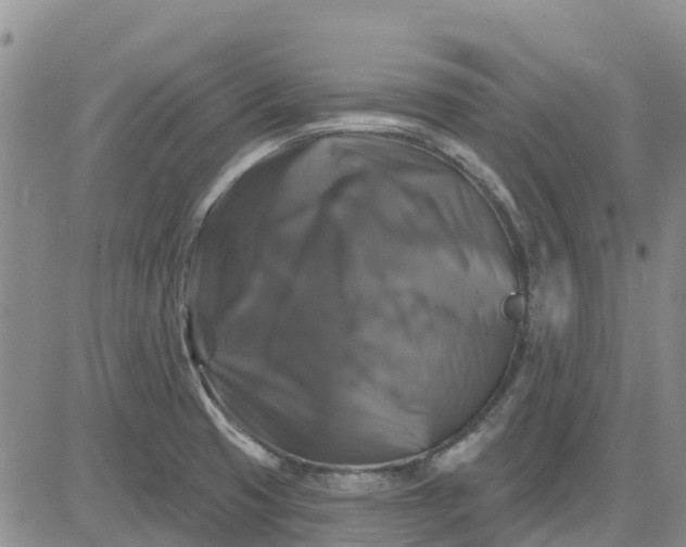 X0000080691425200612301438