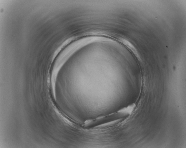 X0000080691428200612301438