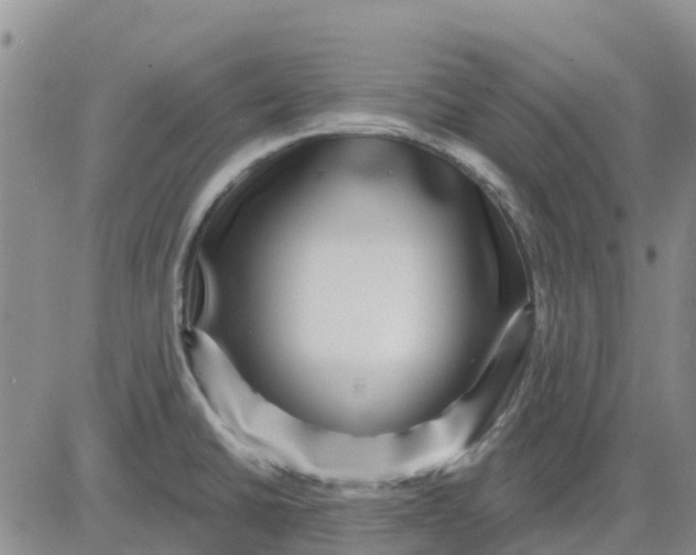 X0000080691430200612301438